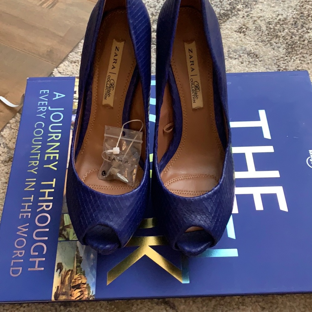 Zara Basic collection indigo pumps